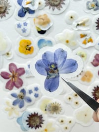 Image 5 of Pressed flower stickers