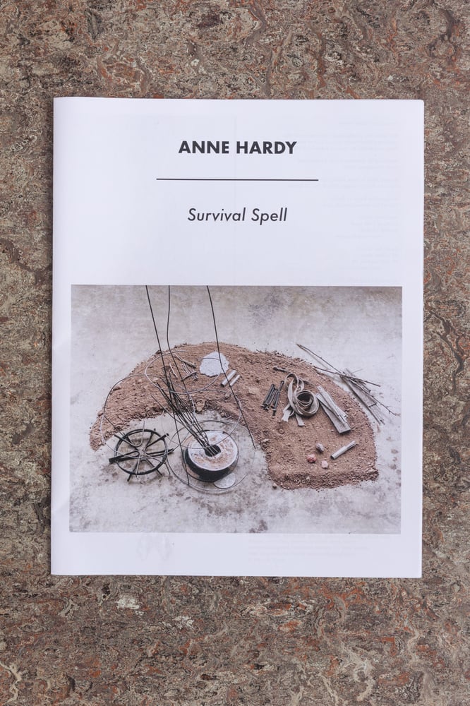 Image of Survival Spell <br /> — Anne Hardy