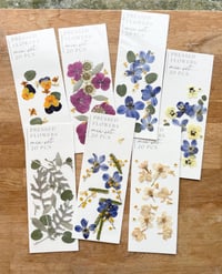 Image 1 of Pressed flower mix set 