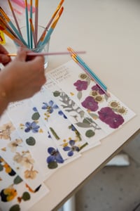 Image 3 of Pressed flower mix set 