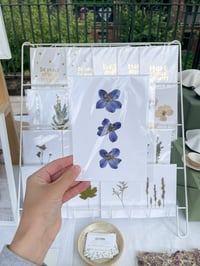 Image 2 of Pressed flower postcard 
