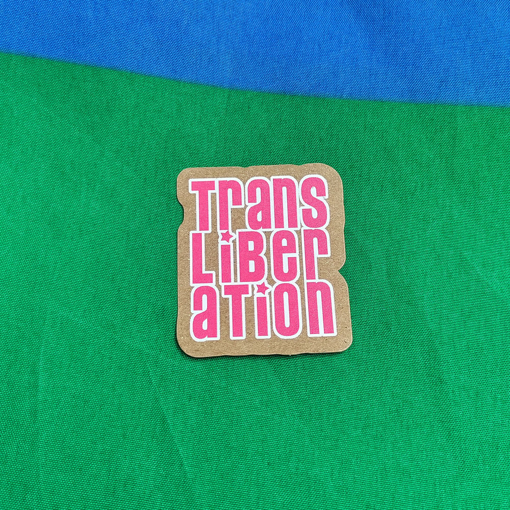 ✨  TRANS LOVE ✨  (stickers/ autocollants) 