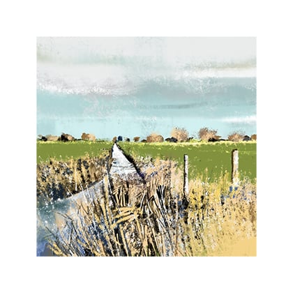 Image of Somerset Levels 2