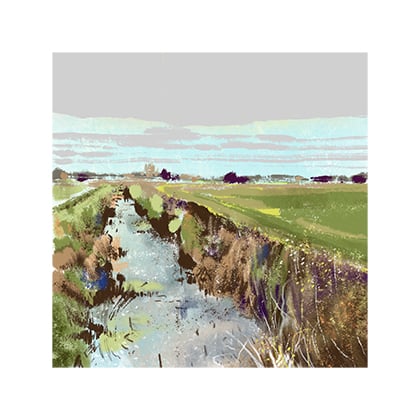 Image of Somerset Levels 3