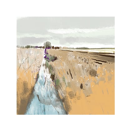 Image of Somerset Levels 7