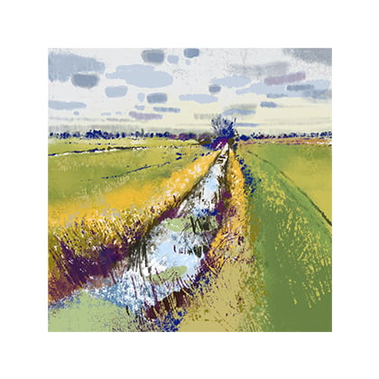 Image of Somerset Levels 10