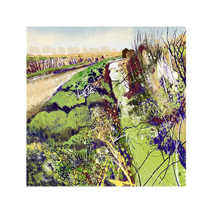 Image of Somerset Levels 11