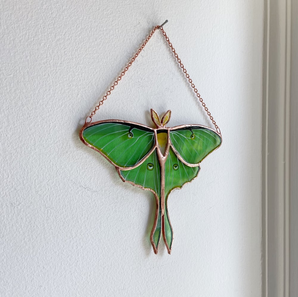 Image of Luna Moth - Summer in the Shire