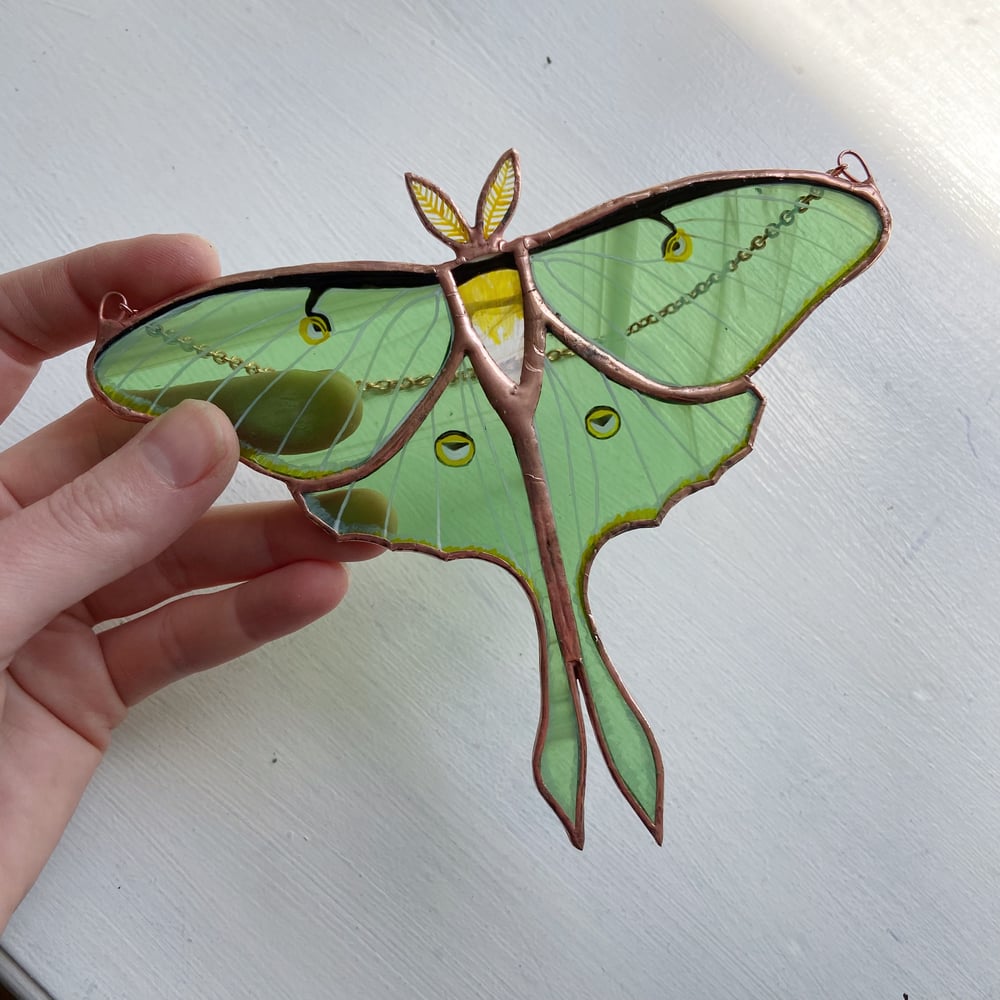 Image of Luna Moth - Summer in the Shire