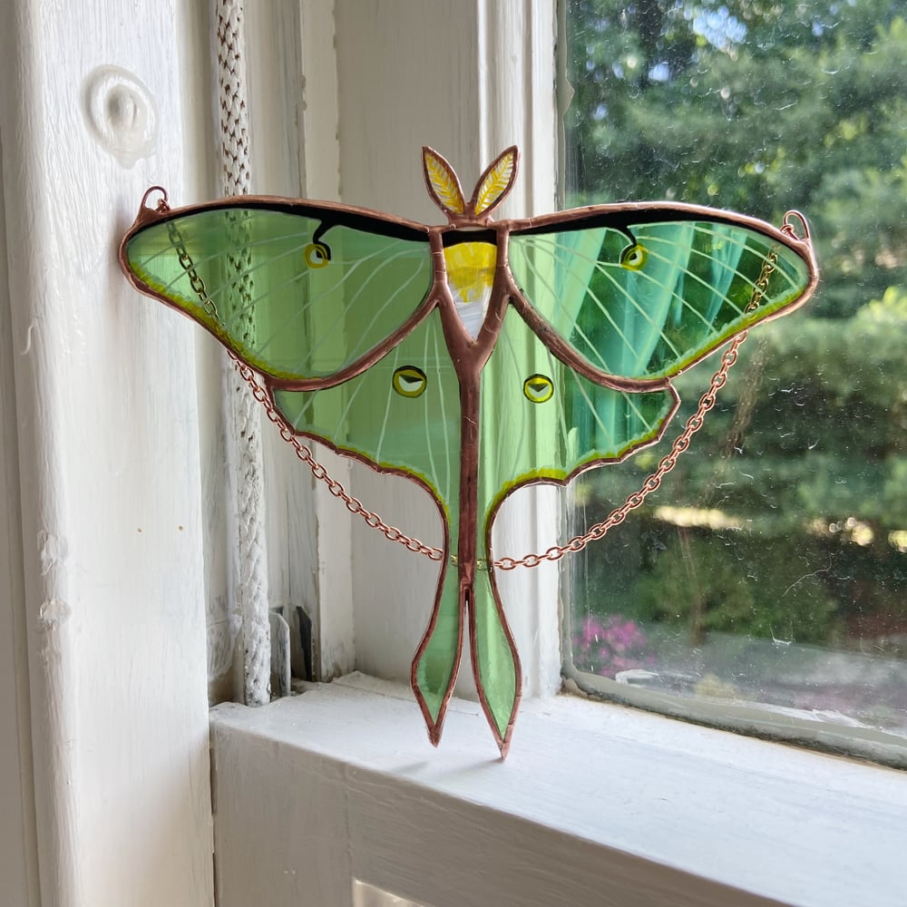 Image of Luna Moth - Summer in the Shire