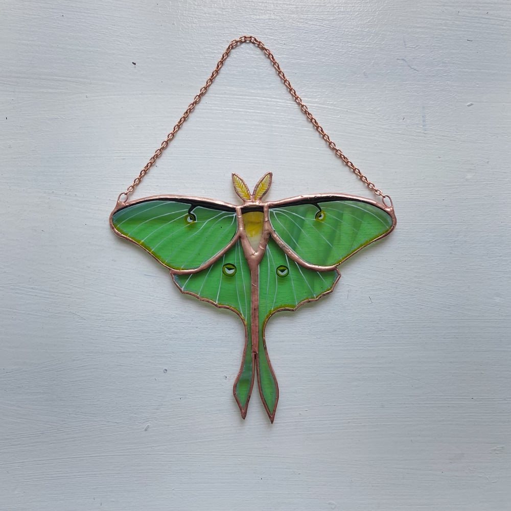 Image of Luna Moth - Summer in the Shire