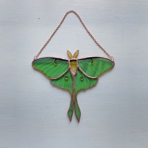 Image of Luna Moth - Summer in the Shire