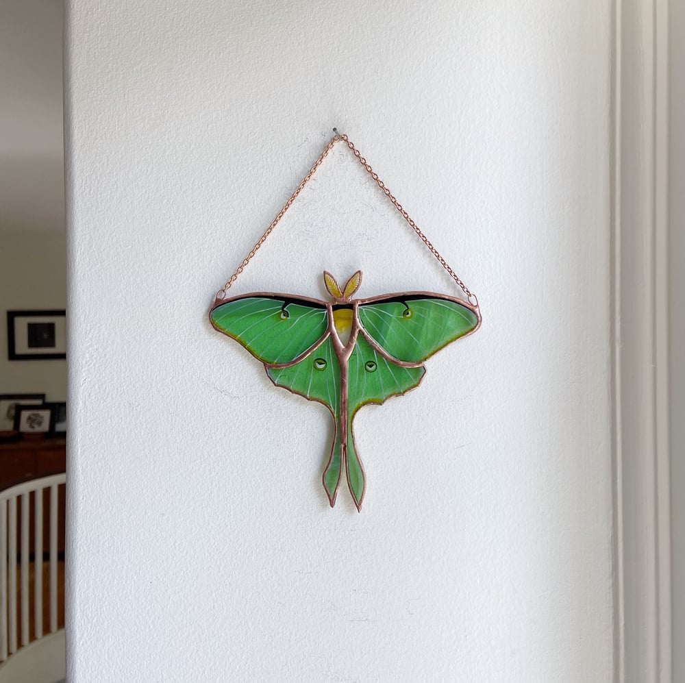 Image of Luna Moth - Summer in the Shire