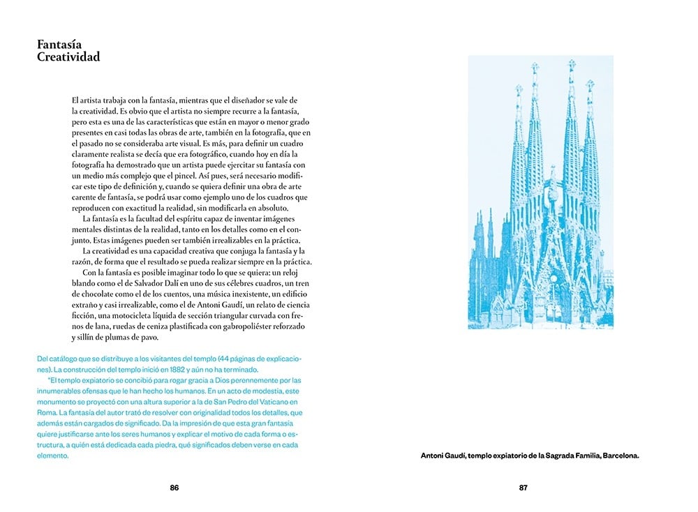 Image of Artista y diseñador