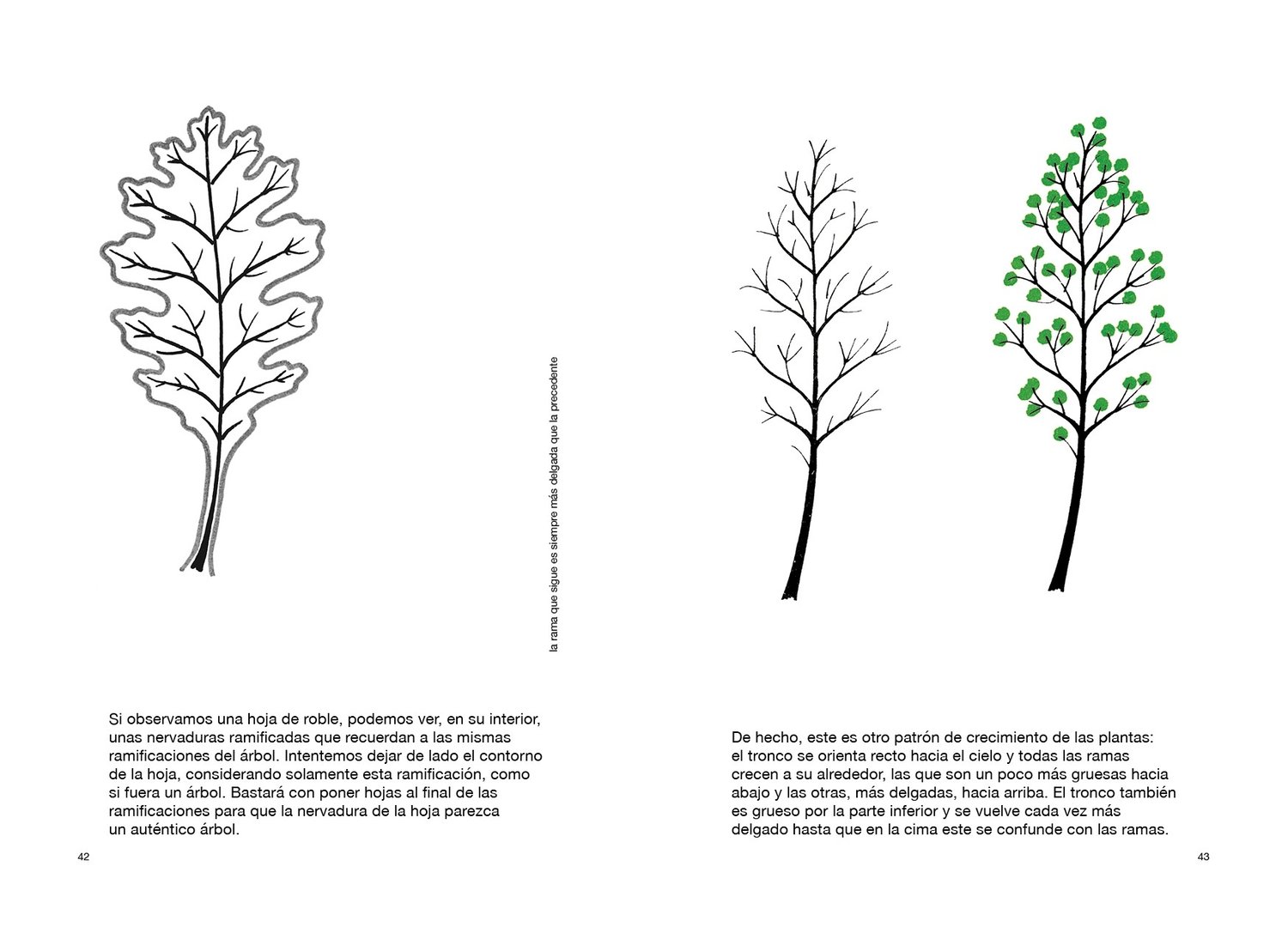 Image of Dibujar un árbol