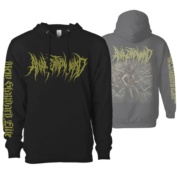 Image of ANAL STABWOUND "ABSTRACTION BATHES IN SUNLIGHT" HOODIE