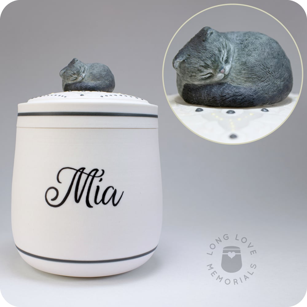 Image of Scottish Fold Cat Custom Pet Urn