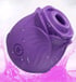 Brizzy Purple Pleasure Rose Image 4