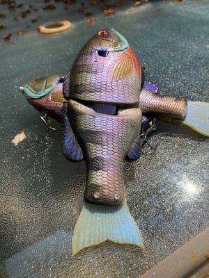 Image of 8” Presence Gill (Big Brute)