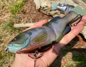 Image of 8” Presence Gill (Big Brute)