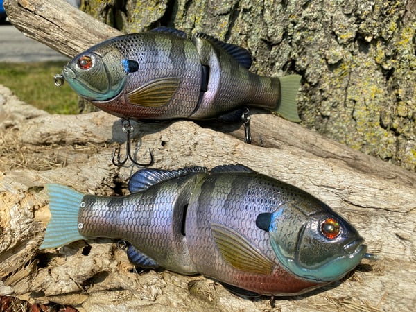 Image of 8” Presence Gill (Big Brute)