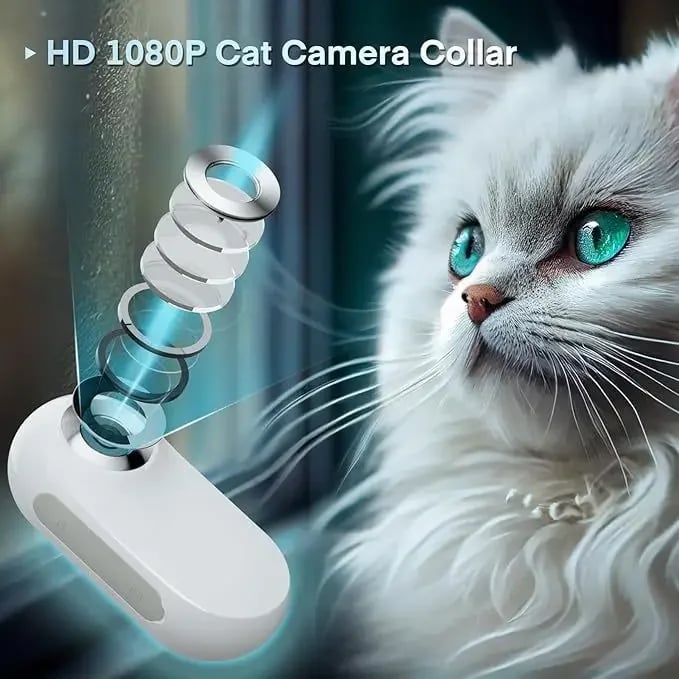 1080P Pet Collar HD Camera with Video Recording Wireless Mini Body Cam for Indoor/Outdoor