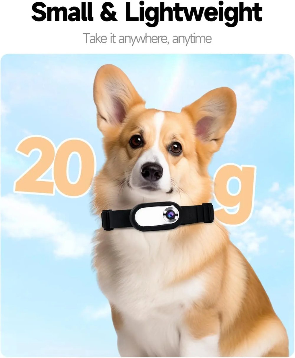 1080P Pet Collar HD Camera with Video Recording Wireless Mini Body Cam for Indoor/Outdoor