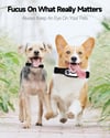 1080P Pet Collar HD Camera with Video Recording Wireless Mini Body Cam for Indoor/Outdoor