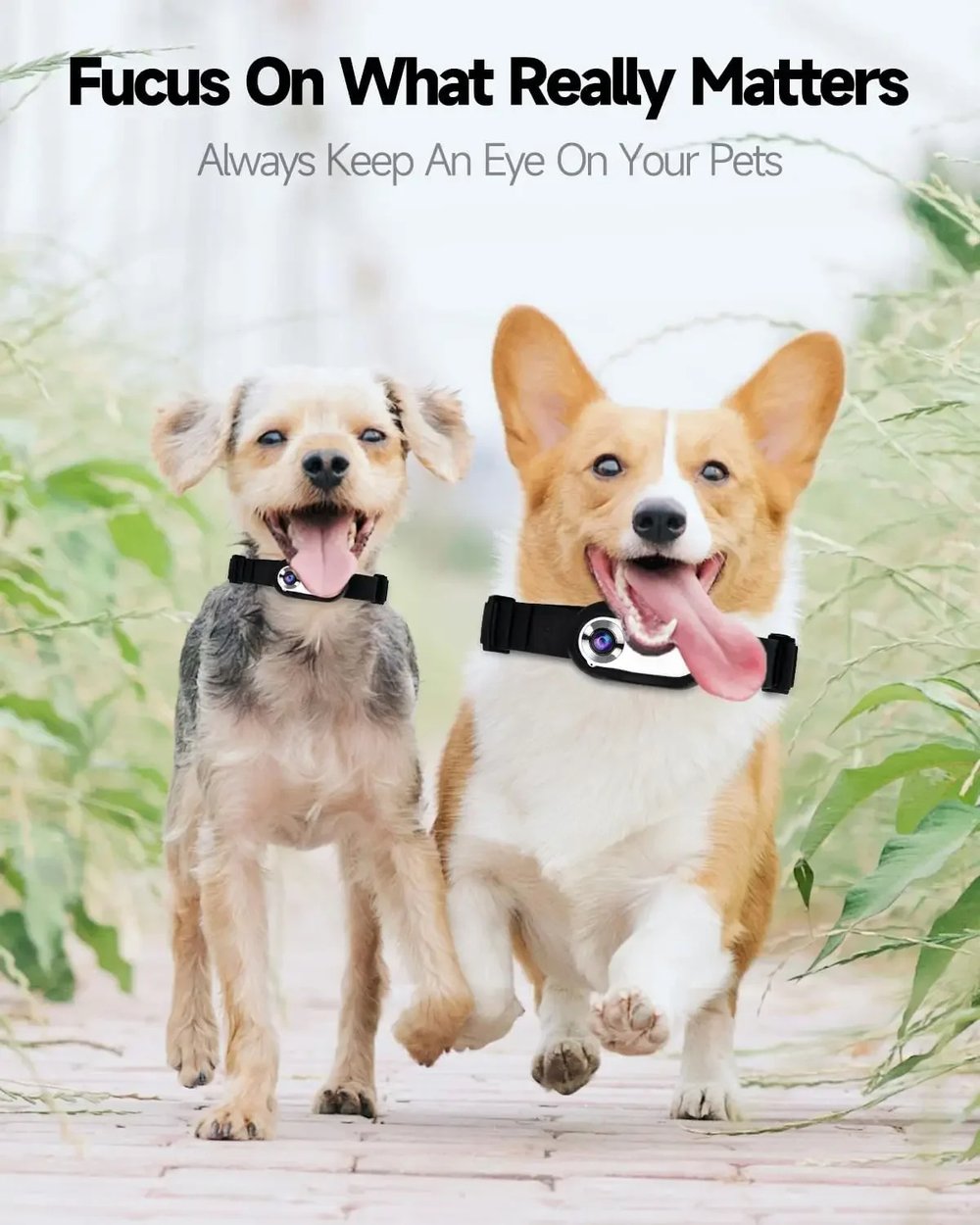 1080P Pet Collar HD Camera with Video Recording Wireless Mini Body Cam for Indoor/Outdoor