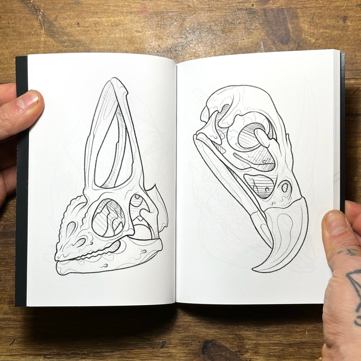 One Hundred Skulls