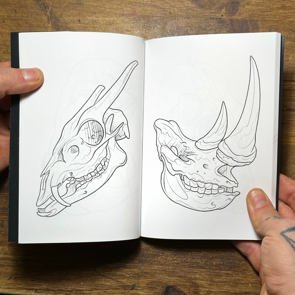 One Hundred Skulls