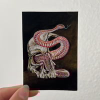 Image 3 of Venom