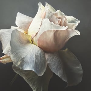 Image of Sami Jacq - Out Of The Darkness