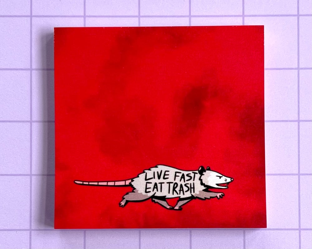 Image of Live fast eat trash possum sticky notes