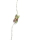 Image of "Bow flower" (flowers)