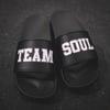 Team Soul - Slides