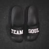 Team Soul - Slides