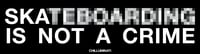 "Ska Is Not A Crime"