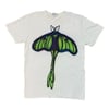 Luna Moth (small)