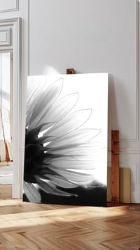Image 1 of Sunflower 