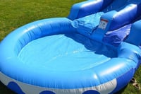 Image 3 of (NEW) Flippin Dolphin 