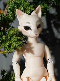 Image 1 of Miniature Shapeshifter "Fox" Ball Jointed Doll Blank Base (Light Cream, Chubby Body)