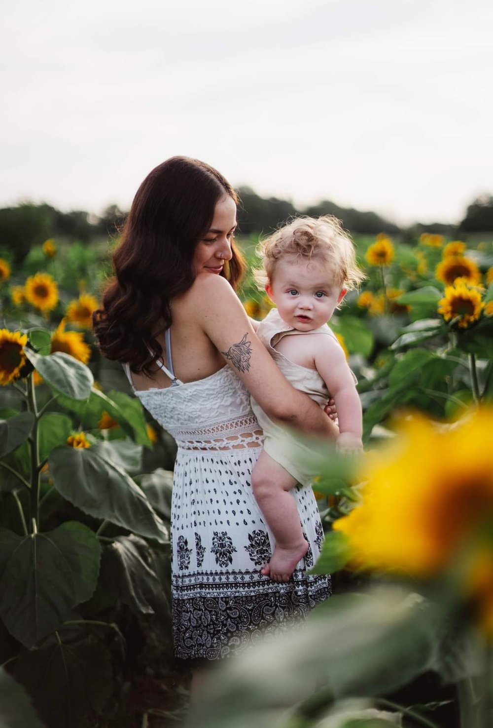 Image of Sunflower Minis - Deposit