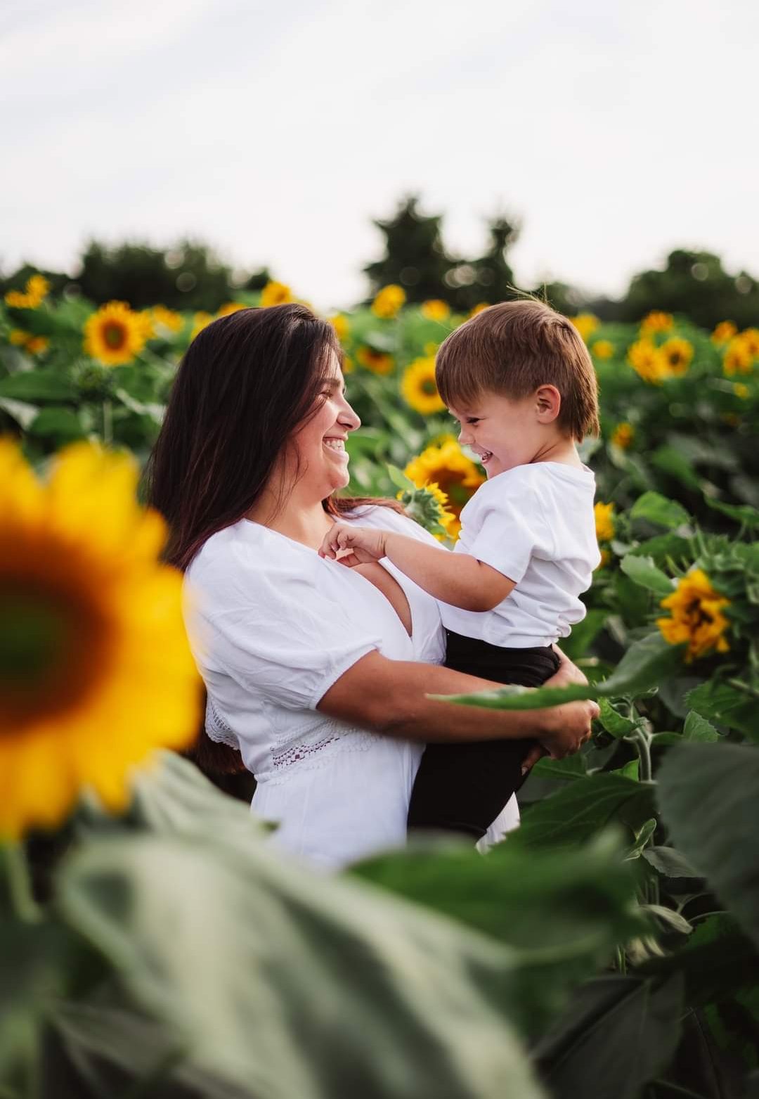 Image of Sunflower Minis - Deposit