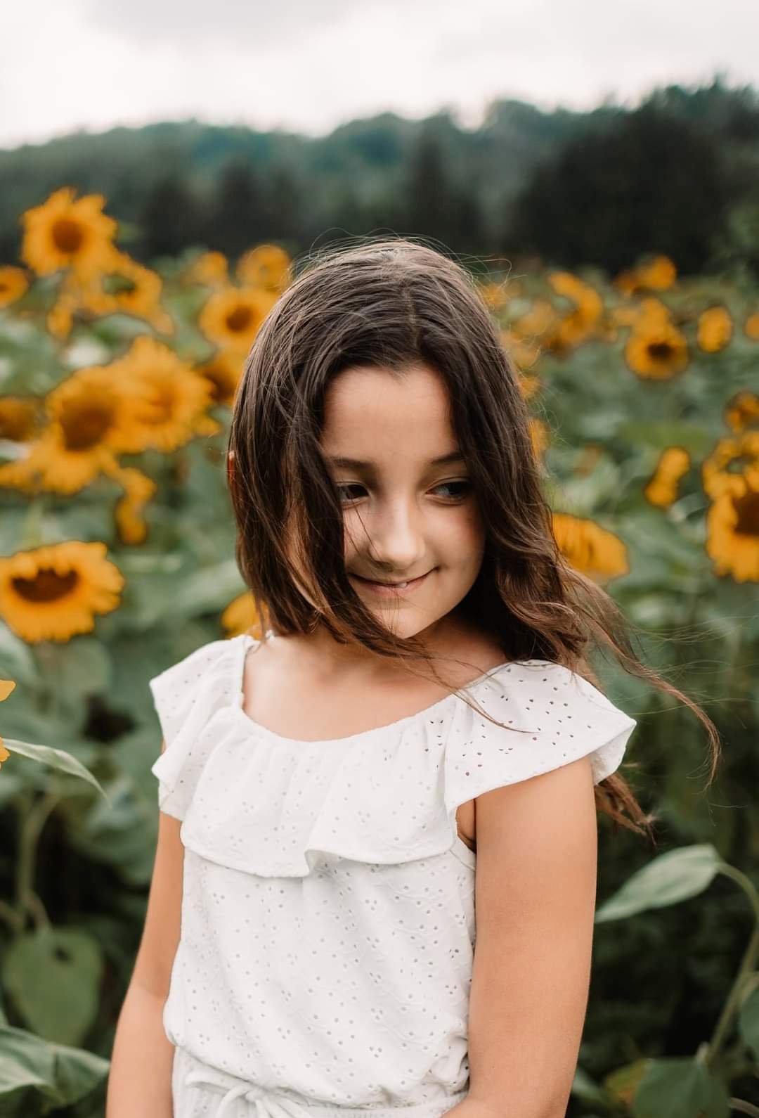 Image of Sunflower Minis - Deposit