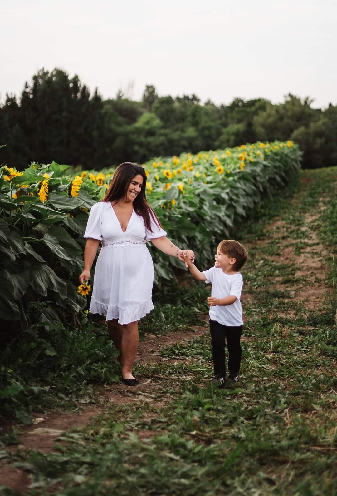 Image of Sunflower Minis - Deposit
