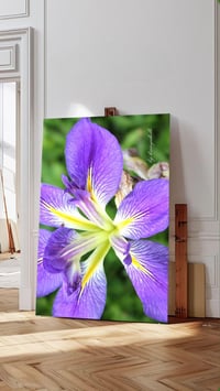 Image 1 of Joyful Japanese Iris