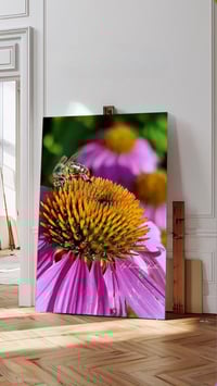 Image 1 of Honey Bee