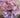 Flower Super Duper Scrunchie 🌸