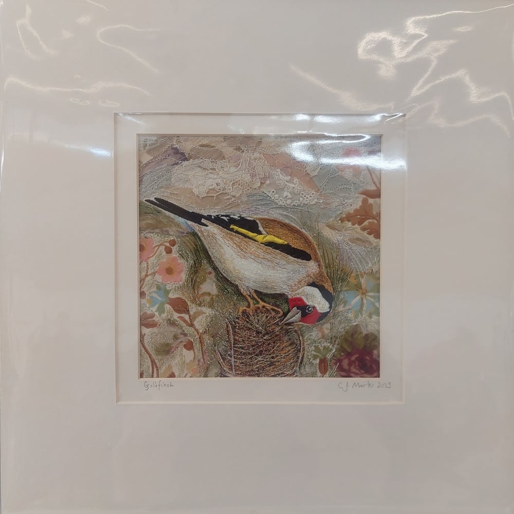 Image of Goldfinch